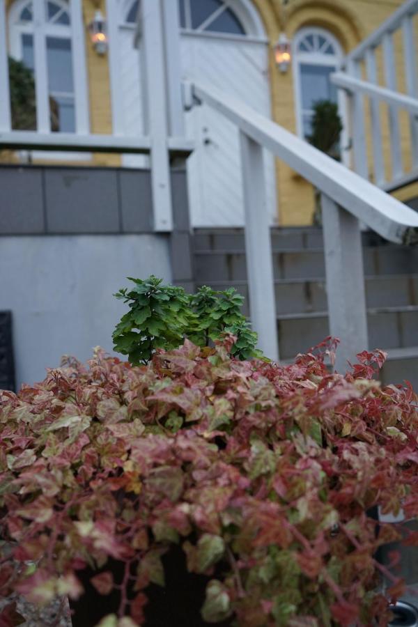 Turistgarden - House Of Ven Hotel Sankt Ibb Екстериор снимка